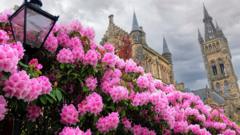 Your pictures of Scotland