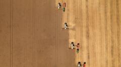 Landwirte warnen Käufer vor kleinerem und teurerem Gemüse aufgrund von heißem Wetter