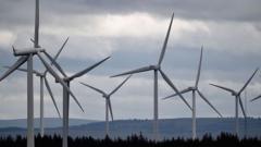 Council seeks legal review of wind farm approval