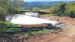 Woodland site ordered to pull down holiday cabins