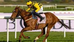 State Man beats Constitution Hill at Punchestown