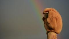 'Misleading weather apps cost attractions thousands'