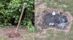 Vandals rip out trees and light fires in parks