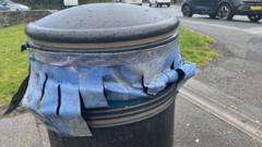 Curtains added to bins dubbed an eyesore
