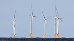 US strikes $1.2bn deal to pay German firm to halt offshore wind projects