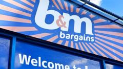 B&M fined £2m over mice infestations