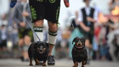 Stay! Germany denies reports of sausage dog ban