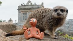'Storm Claudia' and 'Morph meets meerkats'