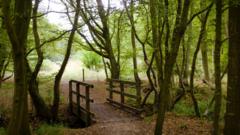Survey finds 'significantly more' ancient woodland