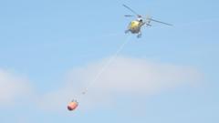 Military Intervention in Domestic Wildfires The Structural Limits of Force Multiplication