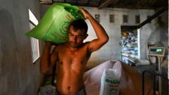 A labourer works inside a rice mill in Tissamaharama