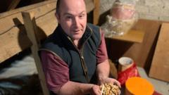 'My aunt's loft was insulated with thousands of cigarettes'