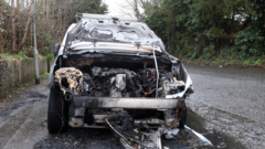 15 vehicles damaged in separate arson attacks