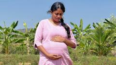 Extreme heat can double stillbirth among working women - study