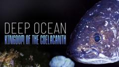 David Attenborough and the 400 million year old fish