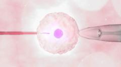 More single women and female couples having IVF