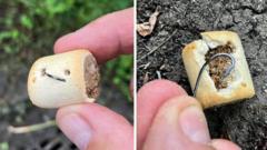 Could Dangerous Fishhook-Laced Dog Treats Be Harming Pets in Our Parks?
