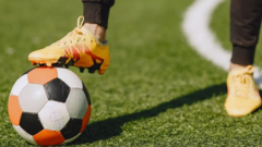 Plans for new football pitches approved