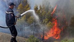 At least 12 dead as wildfires sweep through northern Algeria