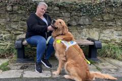 ‘My guide dog shakes for hours on fireworks night’