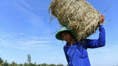 Trabalhador rural no Vietnã