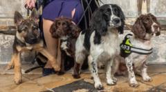 In Pictures: Blessed beasts and city's race day