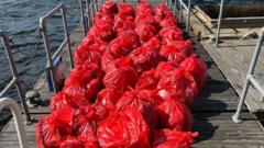 Children's car seat and rubber ducks found in beach clean-up
