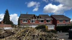 Families left homeless as tree falls into houses during Storm Dave's winds