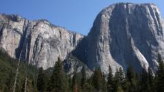 Climbing star, 23, dies after falling from Yosemite's El Capitan