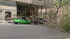 شکستن درختان در توفانِ - تهران، ۱۸ خرداد ۱۴۰۲