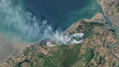 Wildfire damage could take hundreds of years to recover from, experts say