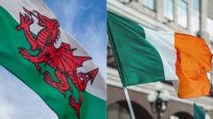 Y Gymraeg a'r Wyddeleg yn 'gallu dysgu gwersi o'i gilydd' - comisiynwyr