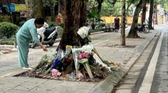Rumours swirled after a Vietnamese teen was run over - then came a stunning admission