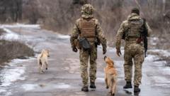 Украинские военные патрулируют территорию вблизи линии соприкосновения