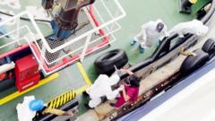 Hantavirus may have spread between passengers on cruise ship, WHO says
