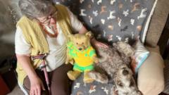 Rescued poodle-cross Gracie gets her happy ever after