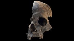 Bronze Age massacre victims likely cannibalised