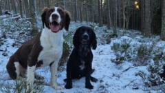 Your striking pictures of snow and frost across UK