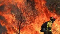 EU sends wildfire help to Spain as death toll rises