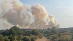 Vehicle fire shuts stretch of A31 as fire crews combat blaze