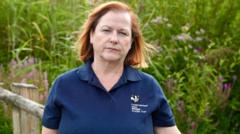 Are Solar Farms Endangering Rare Wildlife?