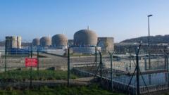 Jellyfish disrupt French nuclear power plant for second time in a month
