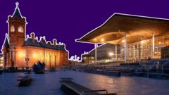 What does the Senedd do?