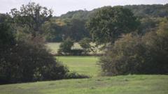 Will London's 'garden state' fend off plans for a new town?