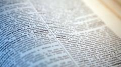 What New Words Like Skibidi and Tradwife Just Made It to the Cambridge Dictionary?