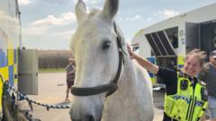 Joint operation horse training first in a decade