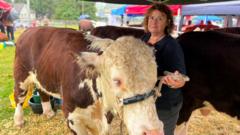 'You can't describe the loss' - the reality of bovine TB on farmers