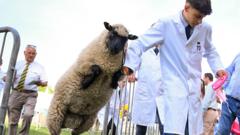 In Pictures: Leaping sheep and lightning bolts