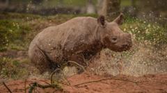 Zoo summit to tackle 'misleading' weather apps