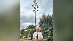 Owner amazed by plant after 50 years with family